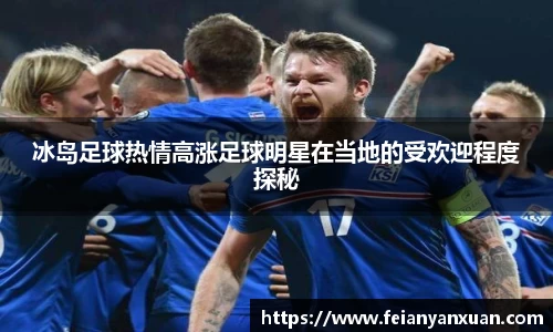 冰岛足球热情高涨足球明星在当地的受欢迎程度探秘